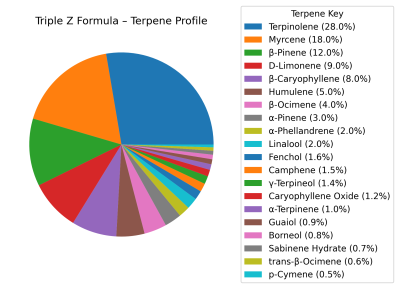 best Biceps curl exercise